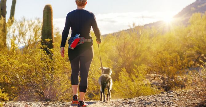 PrP Hair / Facial Rejuvenation